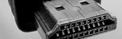 AV Cables & Adapters
