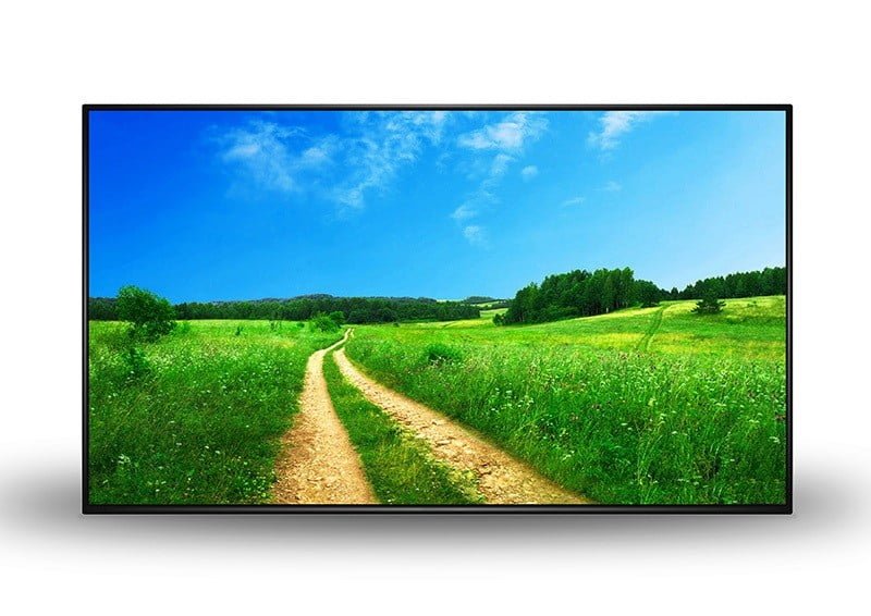 43" Commercial Monitor